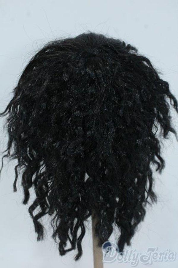 画像2: 9-10inch/ウィッグ Y-25-07-09-147-YD-ZY (2)