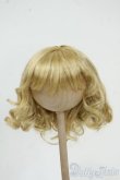 画像1: 8-9inch/ウィッグ Y-25-12-10-248-YD-ZY (1)