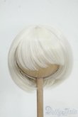 画像1: 9inch/ウィッグ　MIMIEL様製 Y-25-12-10-294-YD-ZY (1)