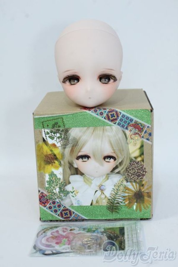 画像4: DDH-29/カスタムヘッド Y-25-07-16-105-YD-ZY (4)