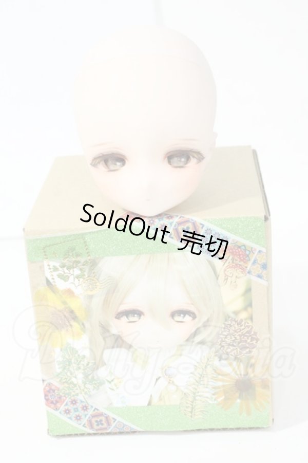 画像4: DDH-29/カスタムヘッド Y-26-03-11-278-YD-ZY (4)