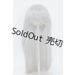 画像: 8-9inch/ウィッグ Y-25-07-16-145-YD-ZY