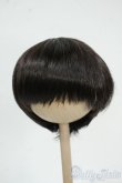 画像1: 8-9inch/ウィッグ Y-25-12-17-172-YD-ZY (1)
