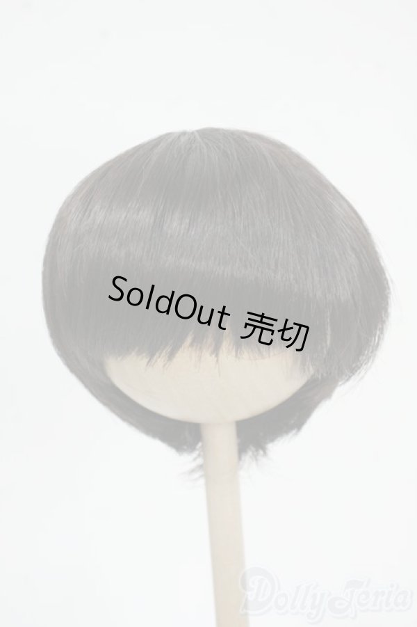 画像1: 8-9inch/ウィッグ Y-25-12-17-172-YD-ZY (1)