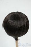 画像2: 8-9inch/ウィッグ Y-25-12-17-172-YD-ZY (2)
