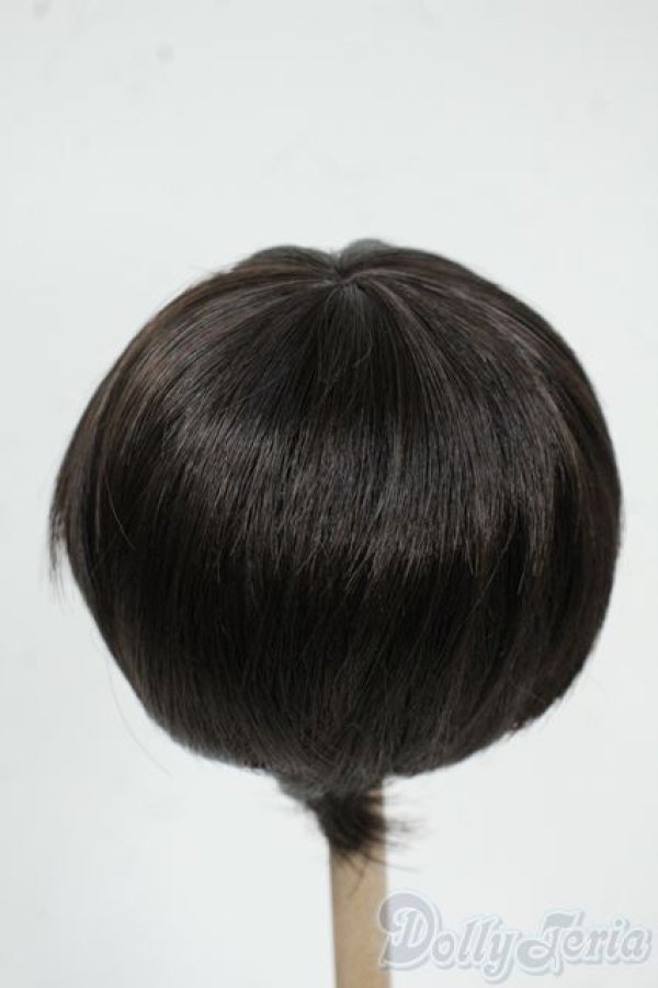 画像2: 8-9inch/ウィッグ Y-25-12-17-172-YD-ZY (2)