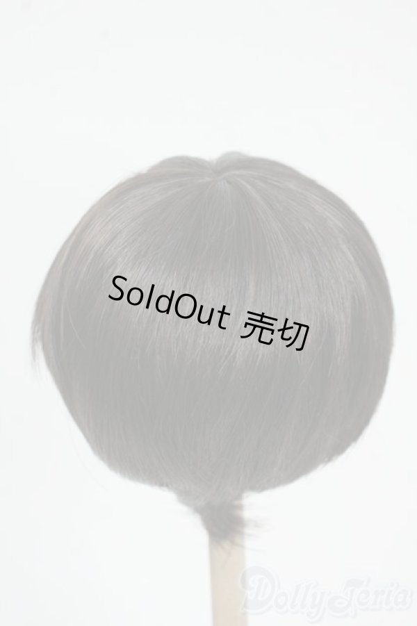 画像2: 8-9inch/ウィッグ Y-25-12-17-172-YD-ZY (2)