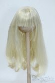 画像1: 6-7inch/ウィッグ Y-25-07-16-122-YD-ZY (1)