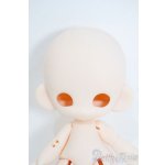 画像: 子猫わたあめ/白肌 Y-25-07-23-122-YD-ZY