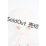 画像: 子猫わたあめ/白肌 Y-25-07-23-122-YD-ZY