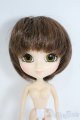 画像: リトルプーリップ/ケフィ Y-25-07-23-201-YD-ZY