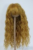 画像1: 8inch/ウィッグ Y-25-07-30-056-YD-ZY (1)