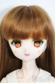 画像: DDヘッド+オビツ40ボディ(PARABOX) Y-25-07-30-060-YD-ZY