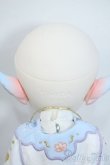 画像5: TinyFox/Lunar Fox Y-25-08-06-036-YD-ZY (5)