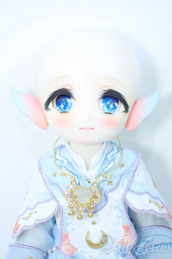 画像6: TinyFox/Lunar Fox Y-25-09-10-243-YD-ZY (6)