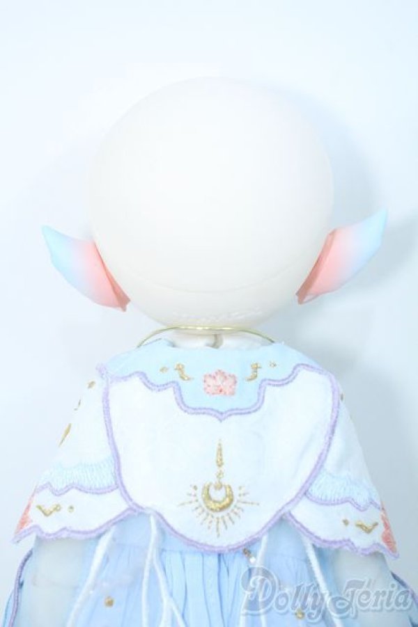 画像7: TinyFox/Lunar Fox Y-25-09-10-243-YD-ZY (7)