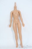 画像1: VOLKS/1/6エレガントコレクション Y-25-08-06-075-YD-ZY (1)