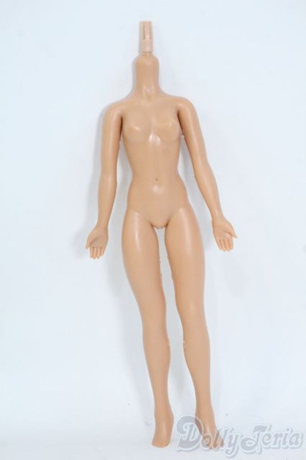 画像1: VOLKS/1/6エレガントコレクション Y-25-08-06-075-YD-ZY (1)