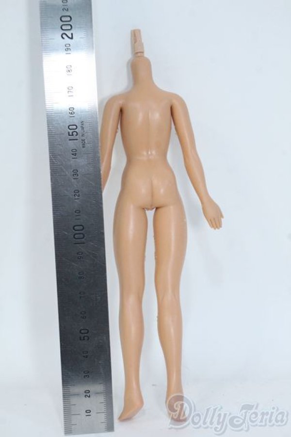 画像2: VOLKS/1/6エレガントコレクション Y-25-08-06-075-YD-ZY (2)
