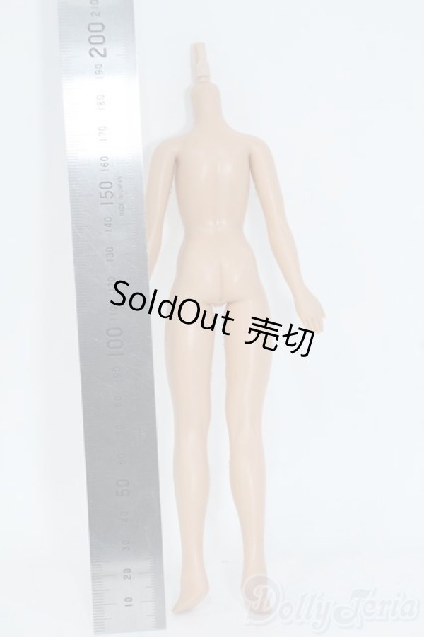 画像2: VOLKS/1/6エレガントコレクション Y-25-08-06-075-YD-ZY (2)