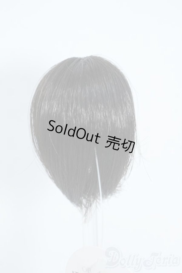 画像2: 3.5inch-4inch/ウィッグ Y-25-08-06-061-YD-ZY (2)