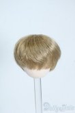画像1: 3.5inch-4inch/ウィッグ Y-25-08-06-063-YD-ZY (1)