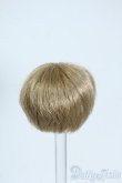 画像2: 3.5inch-4inch/ウィッグ Y-25-08-06-063-YD-ZY (2)