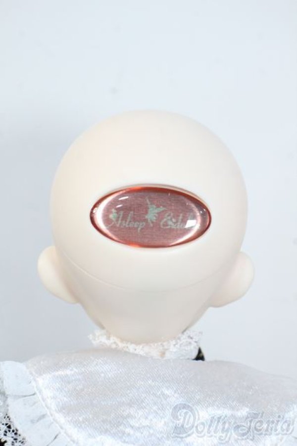 画像8: Asleep Eidolon/mini Aria Y-25-08-06-300-YD-ZY (8)