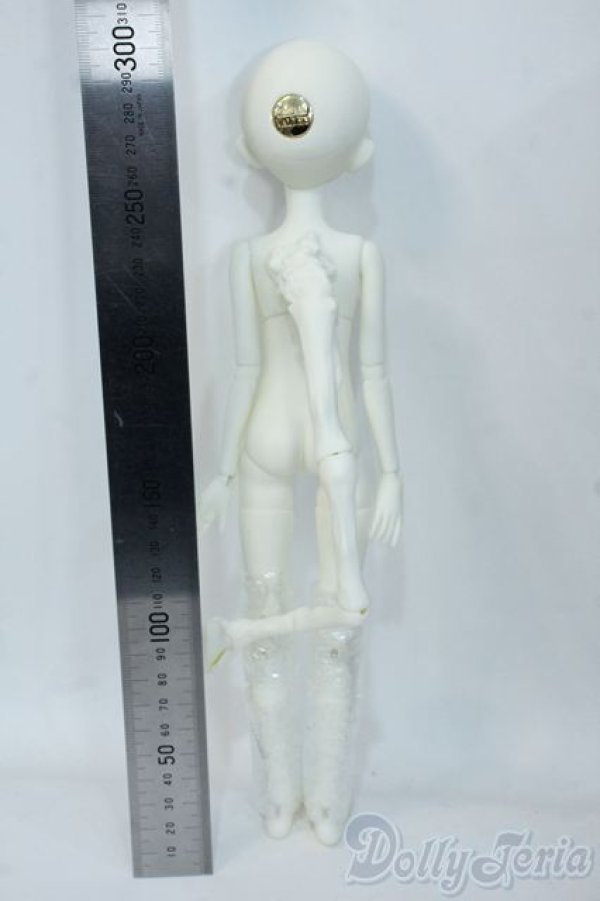 画像5: Dream Valley/Cheer S-25-10-26-304-YD-ZS (5)