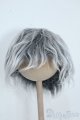 画像: 9-10inch/ウィッグ Y-25-08-13-122-YD-ZY
