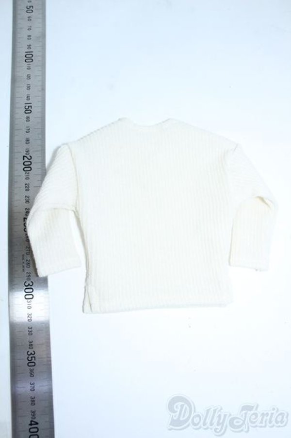 画像2: SDM＆MSD/OF:トップス Y-25-08-20-108-YD-ZY (2)