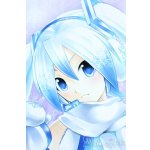 画像: DD/雪ミク　Reboot Y-25-09-03-181-YD-ZY