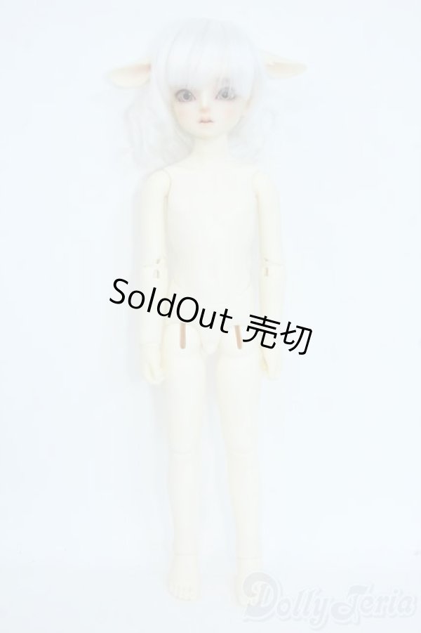 画像7: sdm/子山羊のオリバー Y-25-09-03-182-YD-ZY (7)