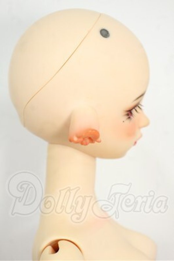 画像8: Gem of Doll/Cizel Y-26-03-18-298-YD-ZY (8)