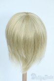 画像2: 7-8inch/ウィッグ Y-25-09-03-175-YD-ZY (2)