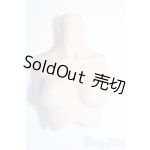 画像: DDS/上半身パーツ(M胸) Y-25-09-03-177-YD-ZY