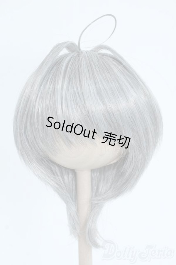 画像1: 8-9inch/ウィッグ Y-25-09-10-039-YD-ZY (1)