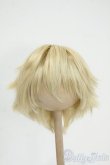 画像1: 8-9inch/ウィッグ Y-25-12-03-047-YD-ZY (1)