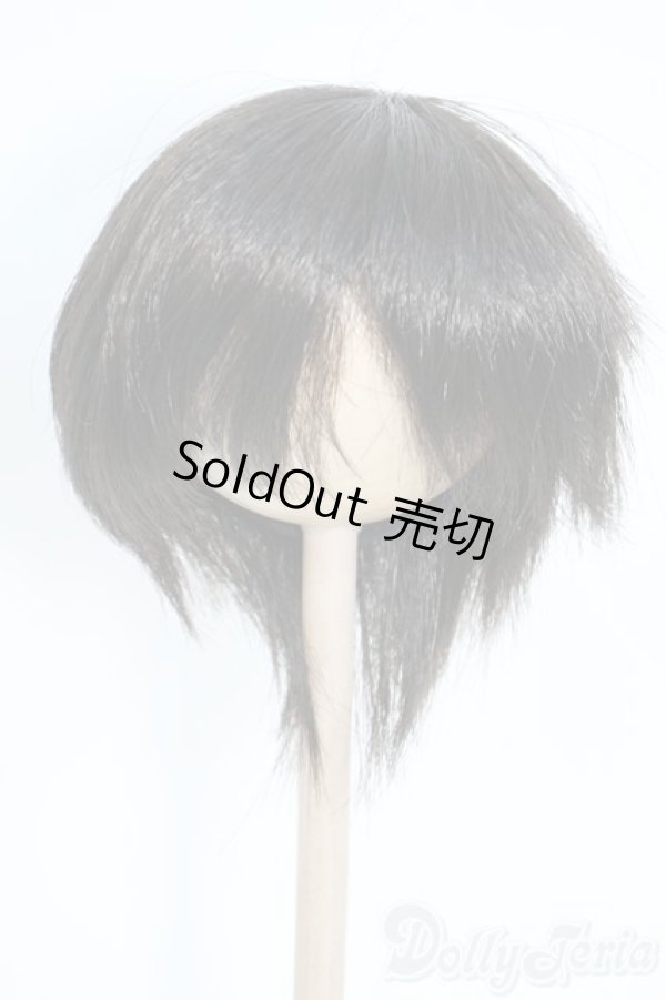 画像1: 8-9inch/ウィッグ Y-25-09-10-174-YD-ZY (1)