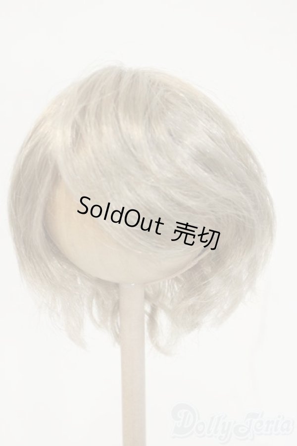 画像1: 8-9inch/ウィッグ Y-26-02-04-201-YD-ZY (1)