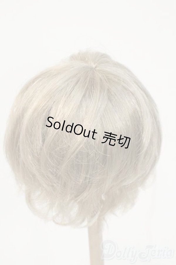 画像2: 8-9inch/ウィッグ Y-26-02-04-201-YD-ZY (2)