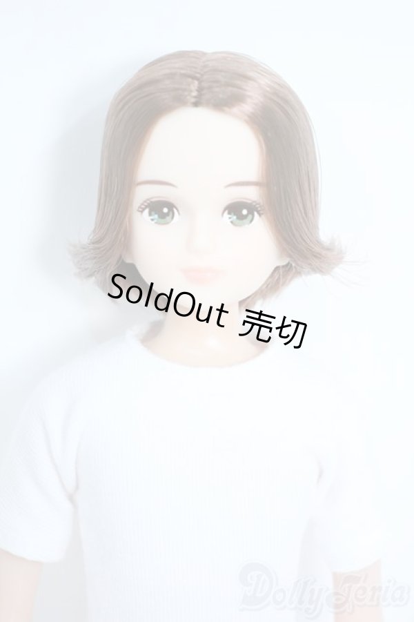 画像1: リカちゃんキャッスル/たくみくん Y-25-09-17-012-YD-ZY (1)