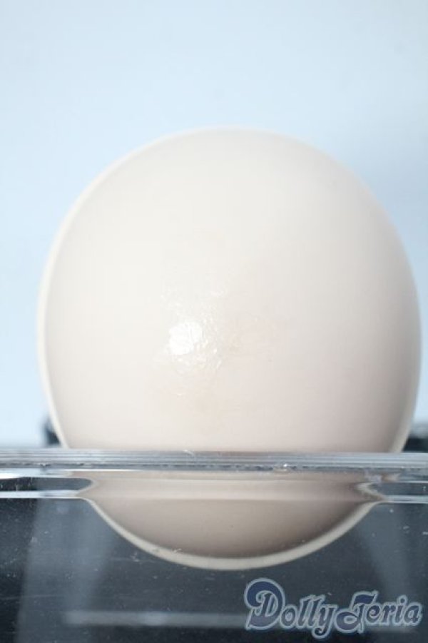 画像4: azone1/3/アスタリスクコレクション/ヘタリア・日本：ヘッドのみ Y-25-09-17-042-YD-ZY (4)