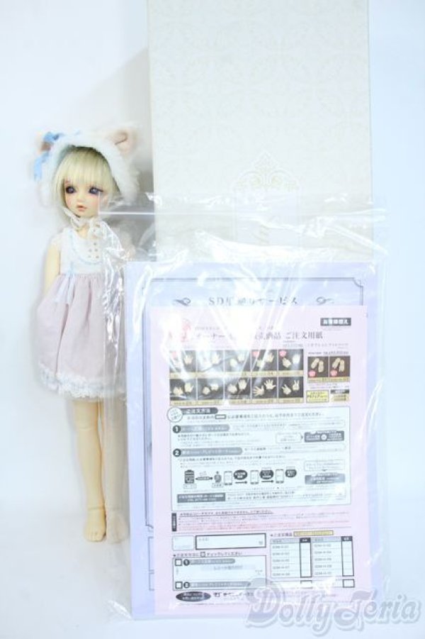 画像9: SDM/のあ:スタンダードモデル Y-25-10-01-120-YD-ZY (9)