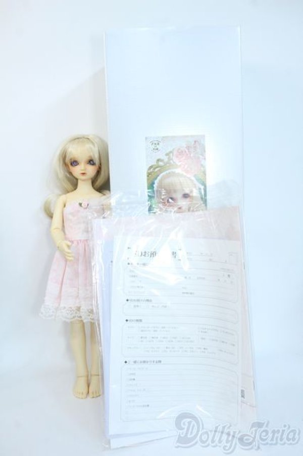 画像9: SDMGIRL/リズ Y-25-10-01-114-YD-ZY (9)