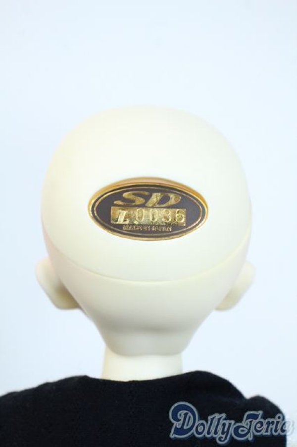 画像7: SDM/子天使白蓮 白雪ver. Y-25-10-01-118-YD-ZY (7)