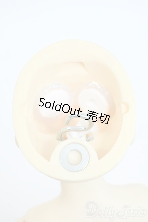 画像6: SDC/may Y-25-10-01-003-YD-ZY (6)