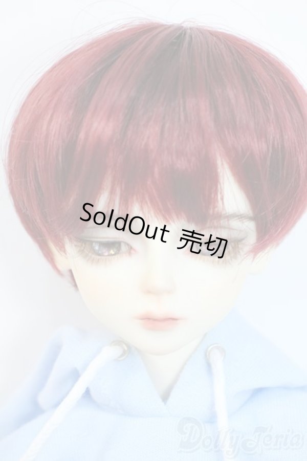 画像1: LUTS/Model Delf+Kid Delf head/海外製キャストドール Y-25-10-01-007-YD-ZY (1)