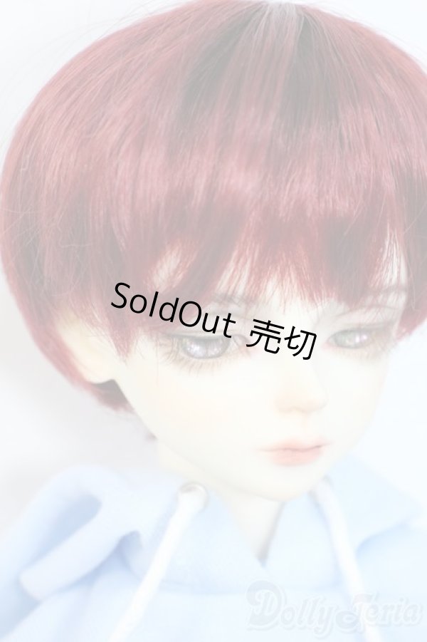 画像2: LUTS/Model Delf+Kid Delf head/海外製キャストドール Y-25-10-01-007-YD-ZY (2)