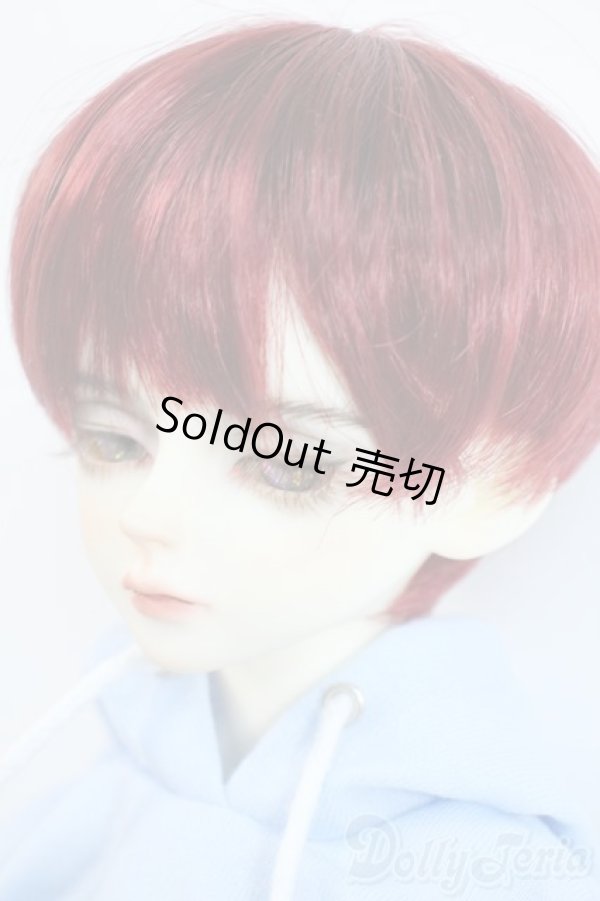 画像3: LUTS/Model Delf+Kid Delf head/海外製キャストドール Y-25-10-01-007-YD-ZY (3)